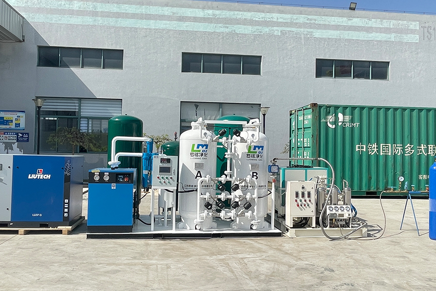 চাপ সুইং শোষণ (পিএসএ) অক্সিজেন জেনারেটরের কার্যকরী নীতিটি কী?